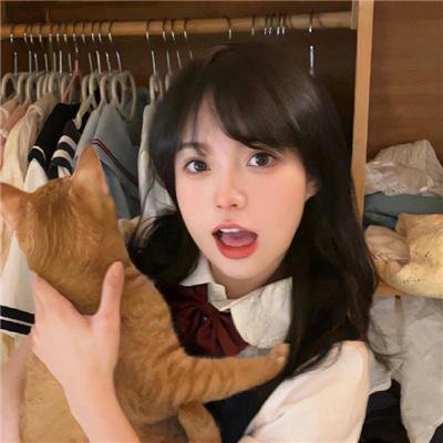 小猫钓鱼 封面